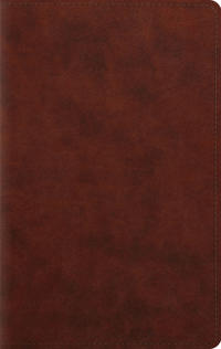 ESV Giant Print Personal Size Bible