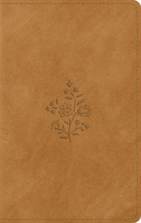ESV Giant Print Personal Size Bible