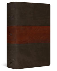 Bokomslag för "ESV Large Print Personal Size Bible, Red Letter"
