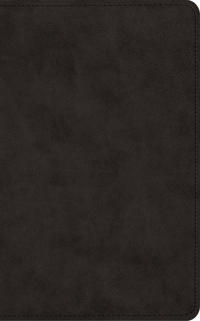 Bokomslag för "ESV Vest Pocket New Testament with Psalms and Proverbs, Red Letter"
