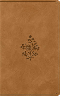 Bokomslag för "ESV Vest Pocket New Testament with Psalms and Proverbs, Red Letter"