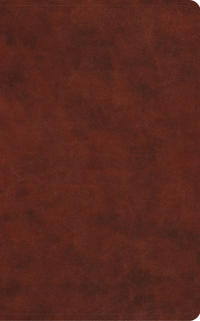 Bokomslag för "ESV Vest Pocket New Testament with Psalms and Proverbs, Red Letter"