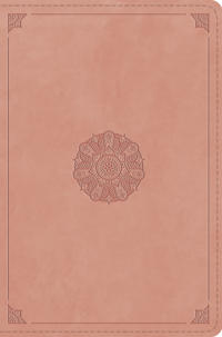 Bokomslag for "ESV Compact Bible, Red Letter"
