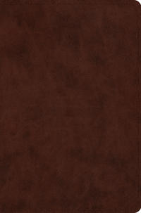 ESV Compact Bible, Red Letter