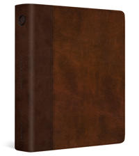 Bokomslag for "ESV Journaling Bible, Red Letter"