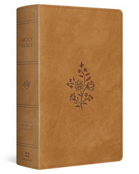 ESV Large Print Personal Size Bible, Red Letter