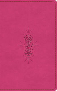 Bokomslag for "ESV Kid's Bible, Thinline, Red Letter"