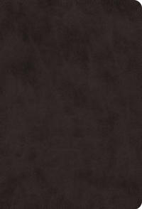 ESV Giant Print Value Thinline Bible