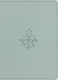 ESV Large Print Value Personal Size Bible
