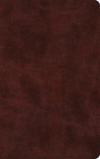 Bokomslag for "ESV Large Print Thinline Bible, Red Letter"