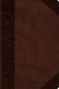 Bokomslag for "ESV Personal Size Reference Bible, Red Letter"