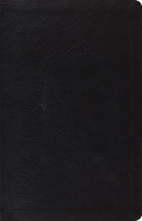 ESV Large Print Thinline Reference Bible, Red Letter