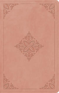 Bokomslag for "ESV Large Print Thinline Reference Bible, Red Letter"