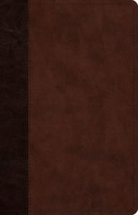 Bokomslag for "ESV Large Print Thinline Reference Bible, Red Letter"