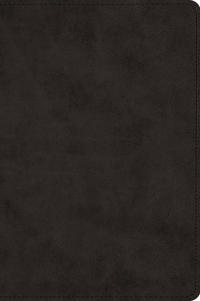 Bokomslag for "ESV Wide Margin Reference Bible, Red Letter"