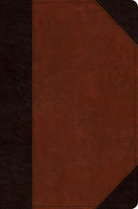 ESV Wide Margin Reference Bible, Red Letter