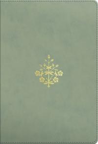 Bokomslag för "ESV Student Study Bible"