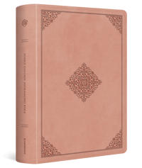 ESV Single Column Journaling Bible, Large Print