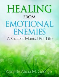 Book Healing From Emotional Enemies