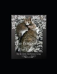 Bokomslag for "The Boogers & The Darlins"