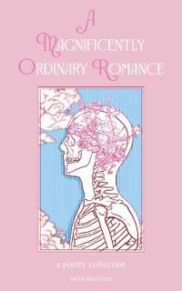 A Magnificently Ordinary Romance
