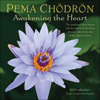 Pema Chödrön 2027 Wall Calendar