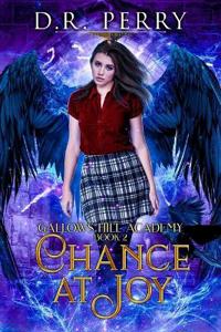 Chance At Joy