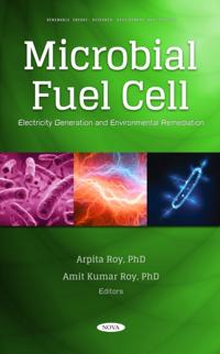 Renewable Energy: Research, Development and Policies