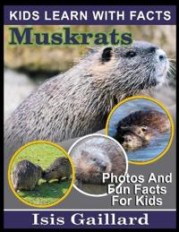 Muskrats
