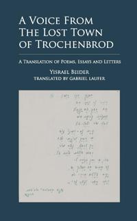 Bokomslag för "A Voice from The Lost Town of Trochenbrod"