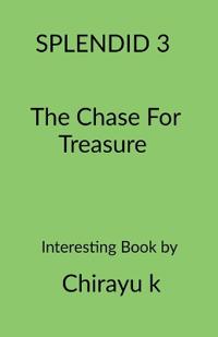 The Chase For Treasure