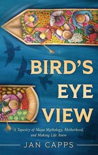 Bokomslag for "Bird's Eye View"