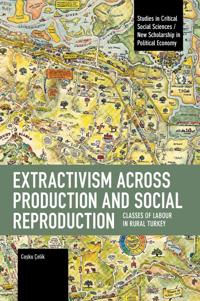 Extractivism Across Production and Social Reproduction