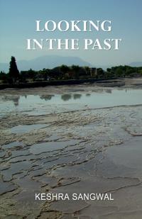 Looking in the Past