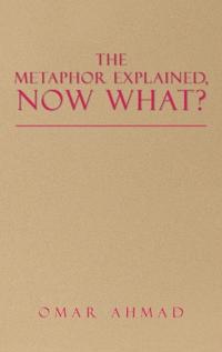 The Metaphor Explained, Now What?