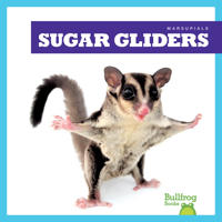 Bokomslag för "Sugar Gliders"