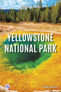 Bokomslag för "Yellowstone National Park"