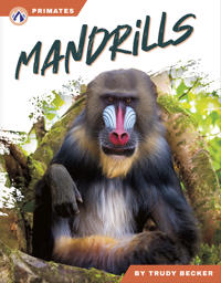 Mandrills
