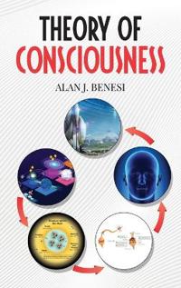 Bokomslag för "Theory of Consciousness"