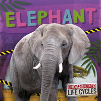 Bokomslag for "Elephant"