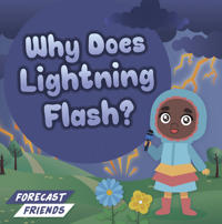 Bokomslag for "Why Does Lightning Flash?"