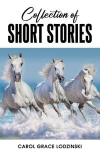 Bokomslag för "collection of short stories"