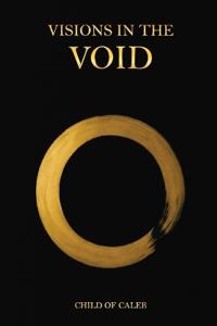 Bokomslag for "Visions in the Void"
