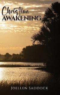 Bokomslag för "Christian Awakening"