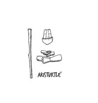 Aristurtle