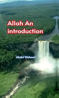 Bokomslag för "Allah (An introduction)"