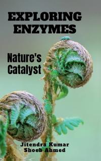 Exploring Enzymes