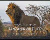 Tanzania Wildlife
