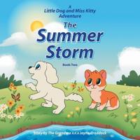 The Summer Storm