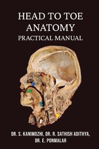 Head to Toe Anatomy